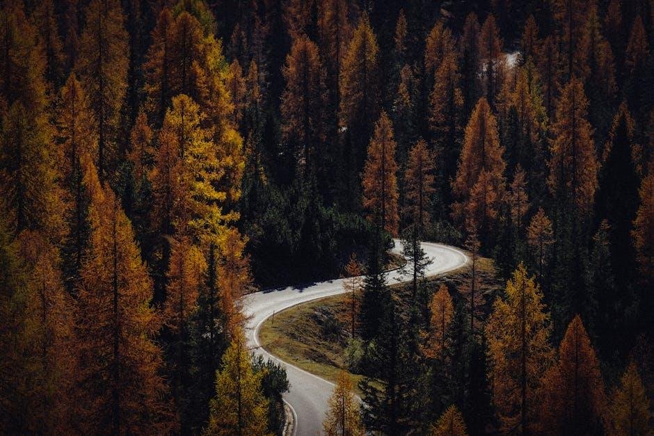 Exploring Hidden gems: Off-the-Beaten-Path Trails for Solo ⁤Adventurers
