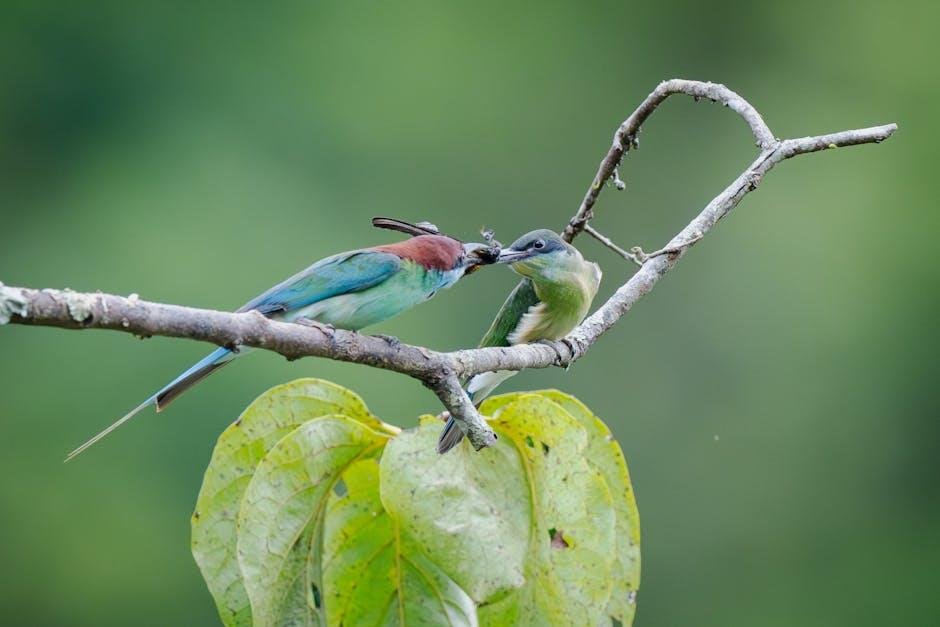 Wildlife Encounters and Natural Wonders‌ on⁢ the Trail
